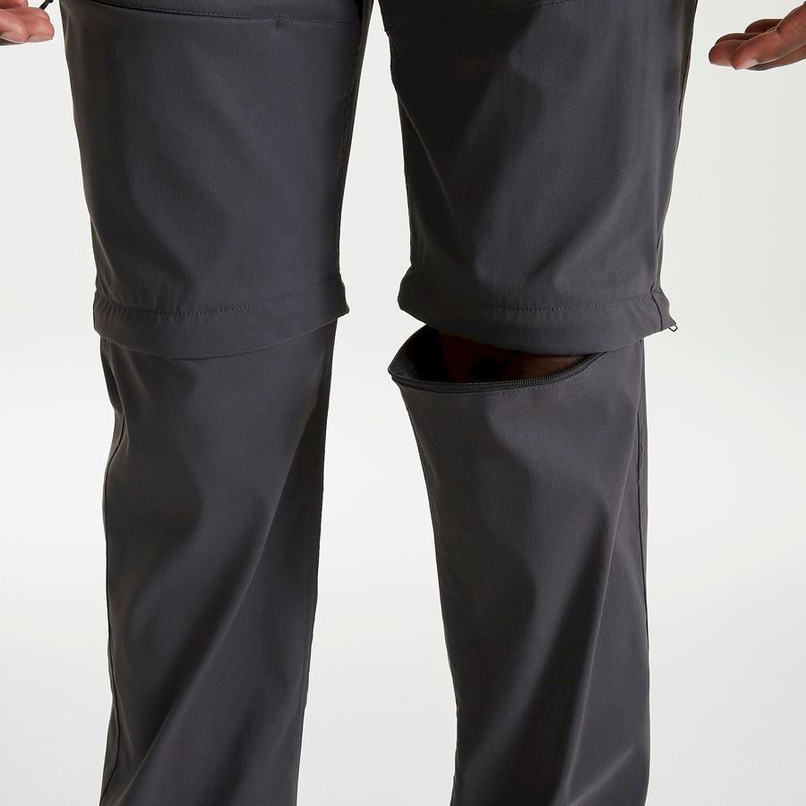 Pantalons Craghoppers Kiwi Pro II Homme Grise | THX6615VE