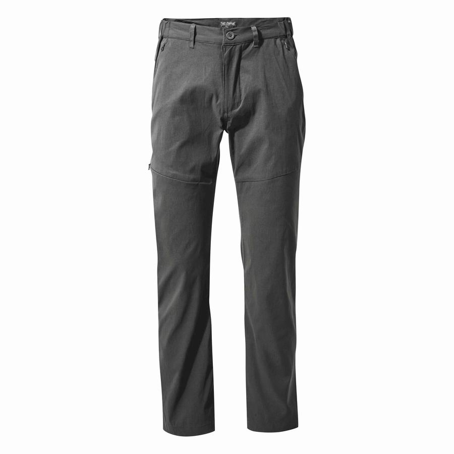 Pantalons Craghoppers Kiwi Pro II Homme Grise | YJF3056DV