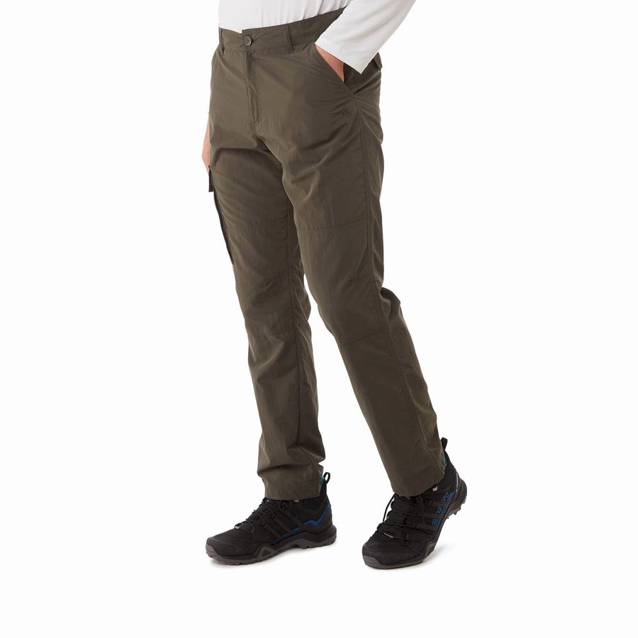 Pantalons Craghoppers NosiLife Branco Homme Vert | ITV6675YQ