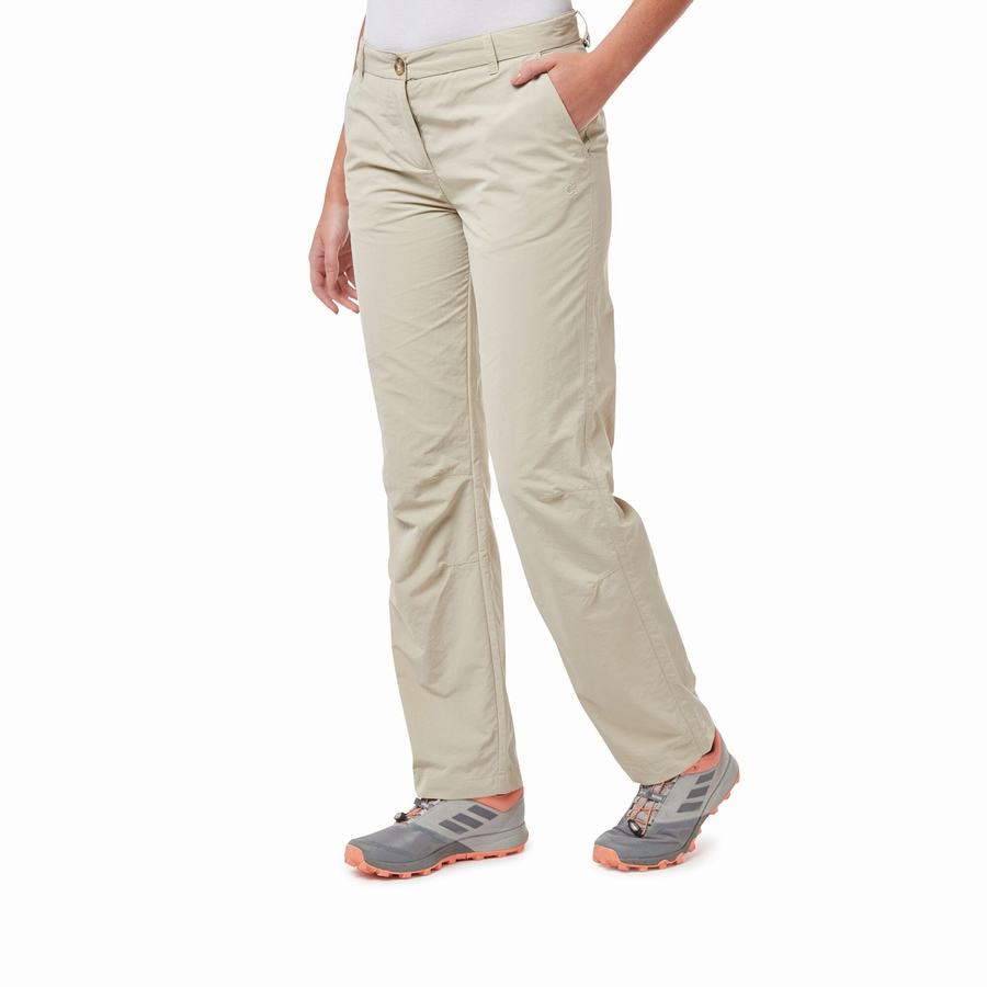 Pantalons Craghoppers NosiLife III Femme Marron | KCC3492KS