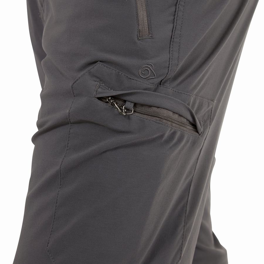 Pantalons Craghoppers NosiLife Pro II Homme Grise | IKD1172ZB