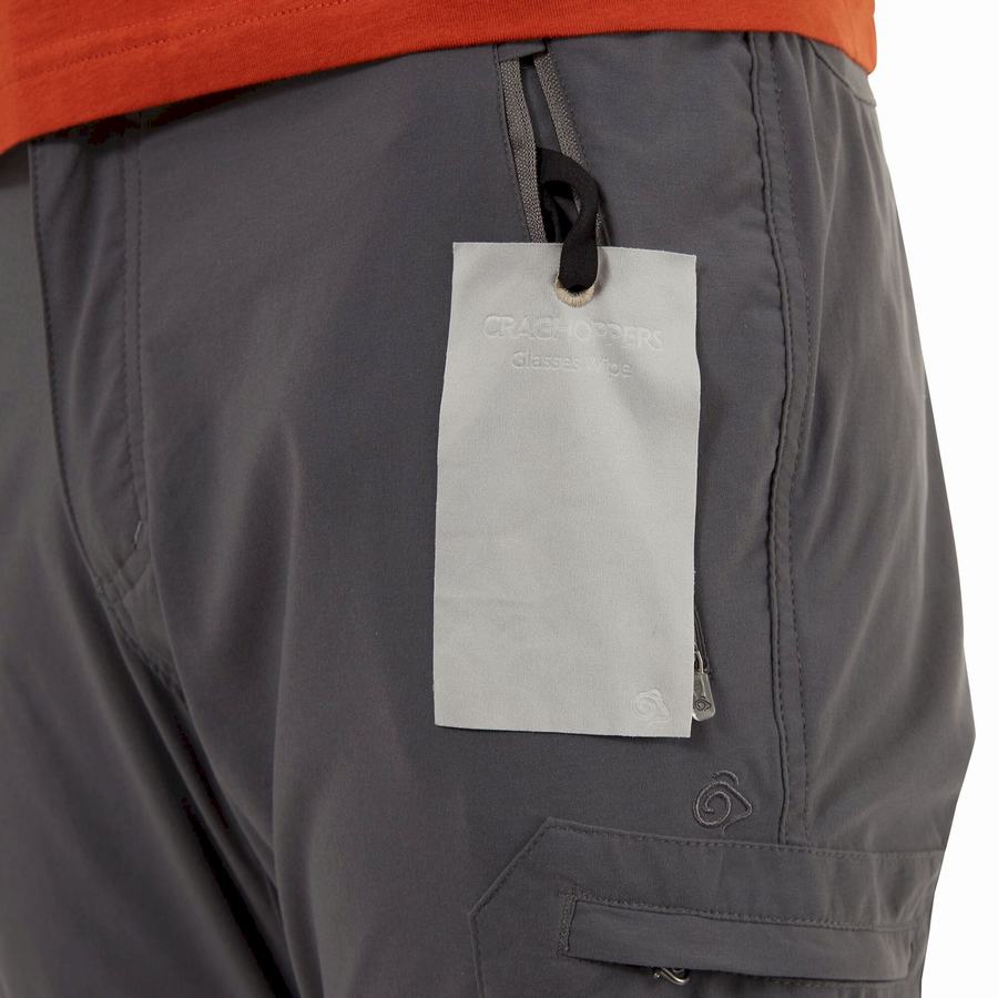 Pantalons Craghoppers NosiLife Pro II Homme Grise | IKD1172ZB