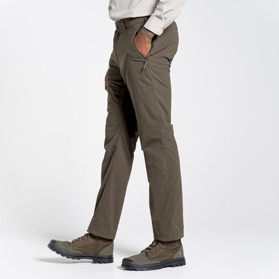 Pantalons Craghoppers NosiLife Pro II Homme Vert | SEE2423SP