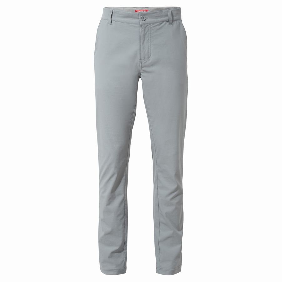 Pantalons Craghoppers NosiLife Santos Homme Grise | JRI6875GJ