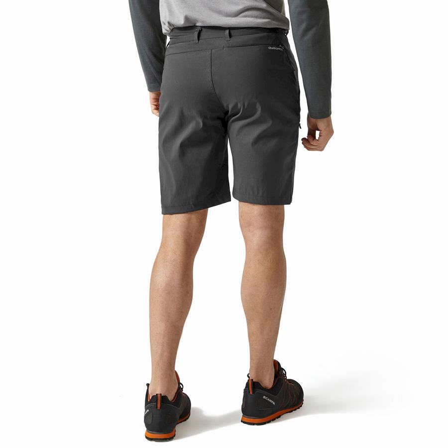 Shorts Craghoppers Kiwi Pro Homme Grise Foncé | DPP3716TU