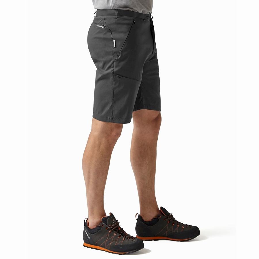 Shorts Craghoppers Kiwi Pro Homme Grise Foncé | DPP3716TU