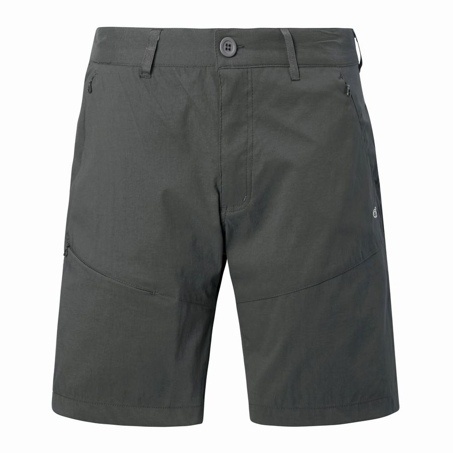 Shorts Craghoppers Kiwi Pro Homme Grise Foncé | DPP3716TU