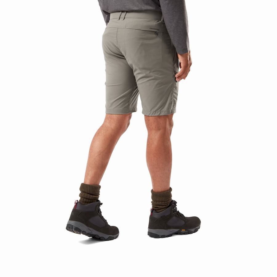 Shorts Craghoppers NosiLife Pro Active Homme Grise | ABO615YE