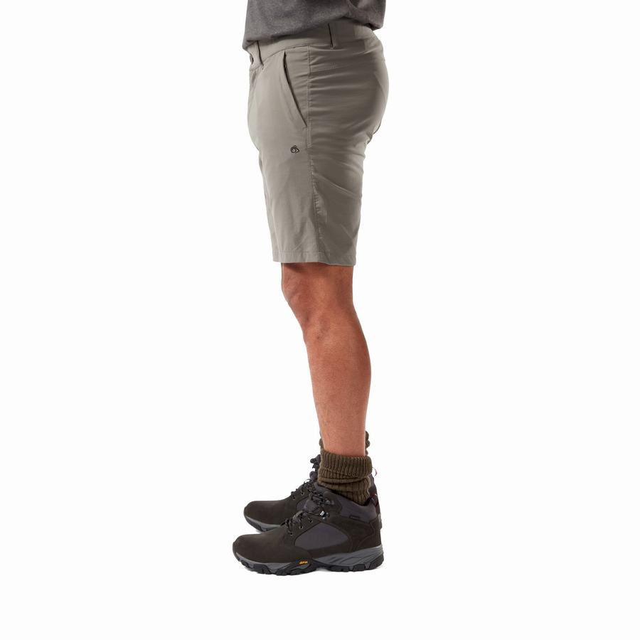 Shorts Craghoppers NosiLife Pro Active Homme Grise | ABO615YE