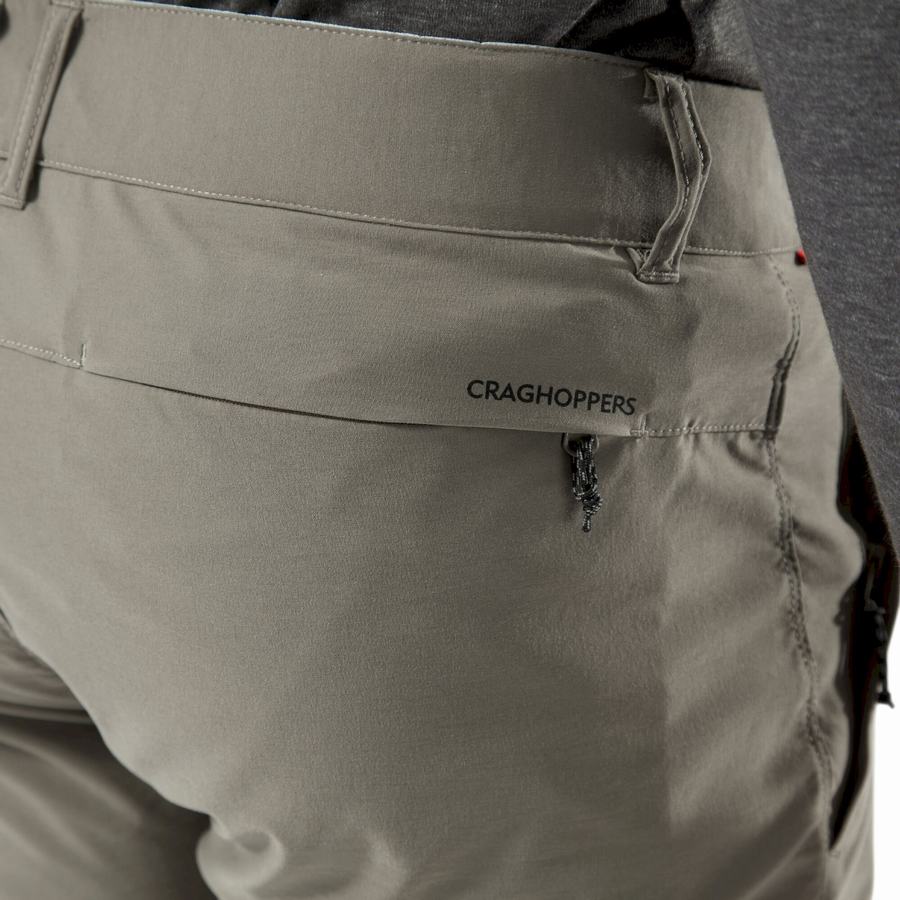 Shorts Craghoppers NosiLife Pro Active Homme Grise | ABO615YE