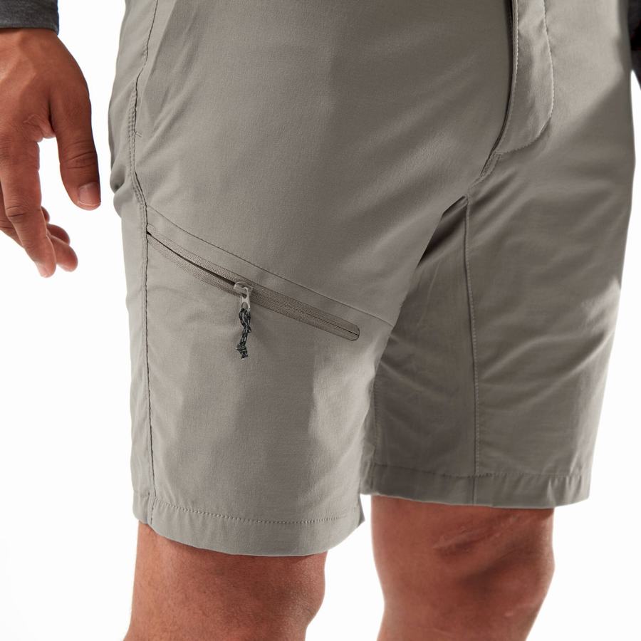 Shorts Craghoppers NosiLife Pro Active Homme Grise | ABO615YE