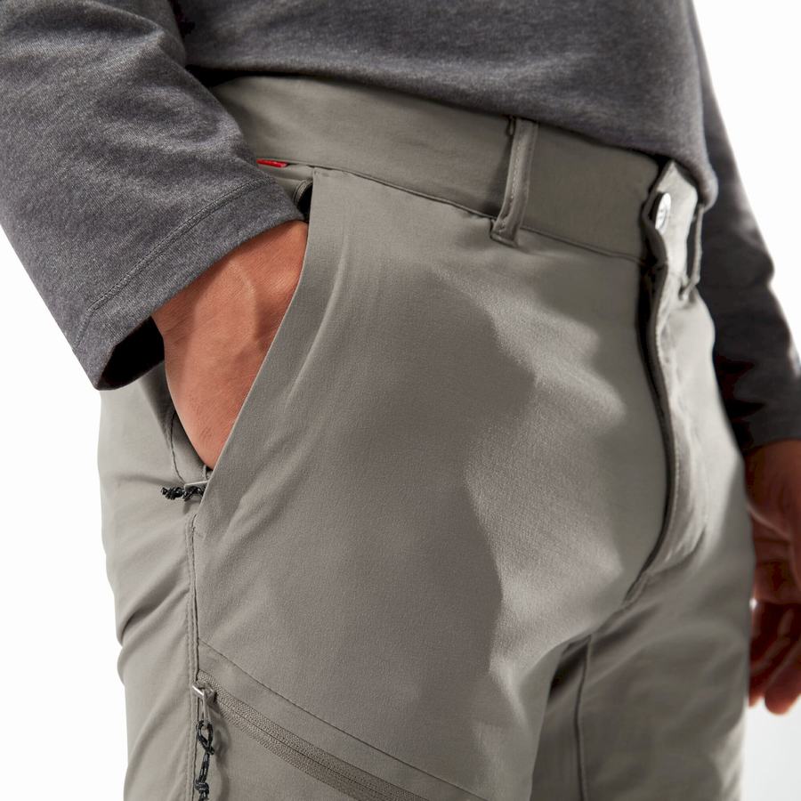 Shorts Craghoppers NosiLife Pro Active Homme Grise | ABO615YE