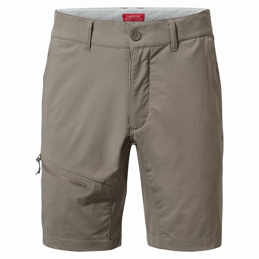 Shorts Craghoppers NosiLife Pro Active Homme Grise | ABO615YE