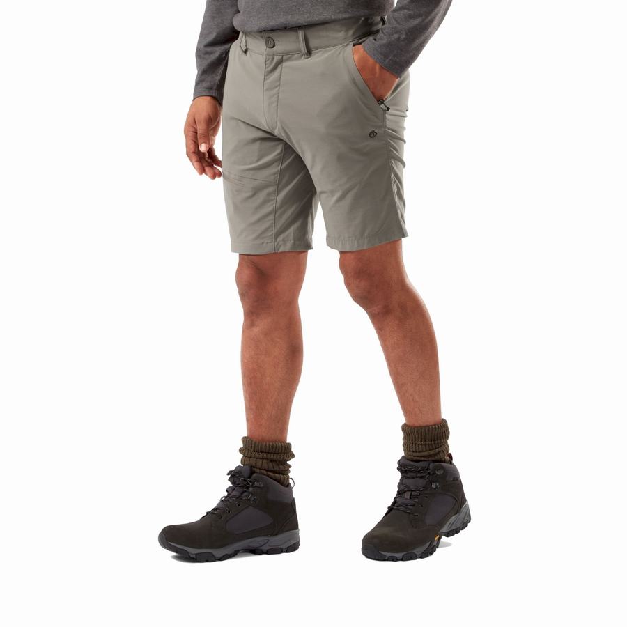 Shorts Craghoppers NosiLife Pro Active Homme Grise | ABO615YE