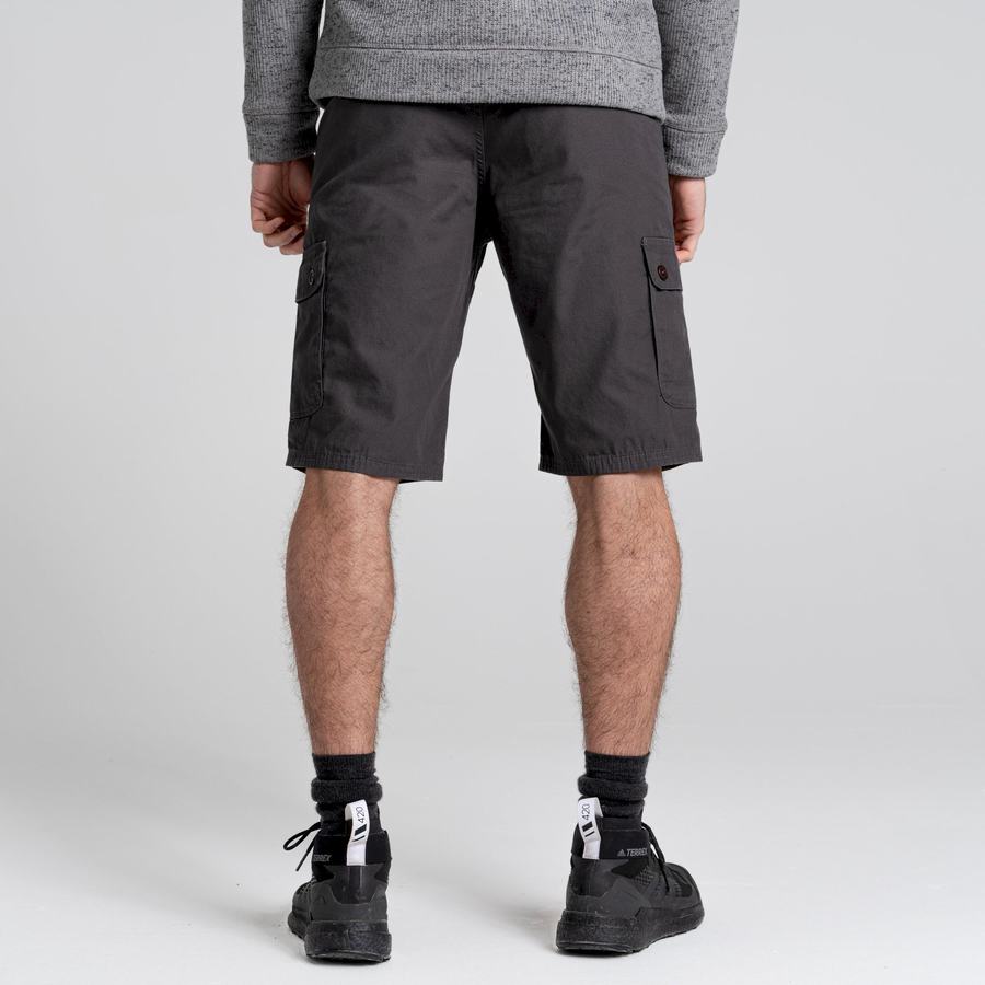 Shorts Craghoppers Thallon Homme Grise Foncé | CEM8850VZ