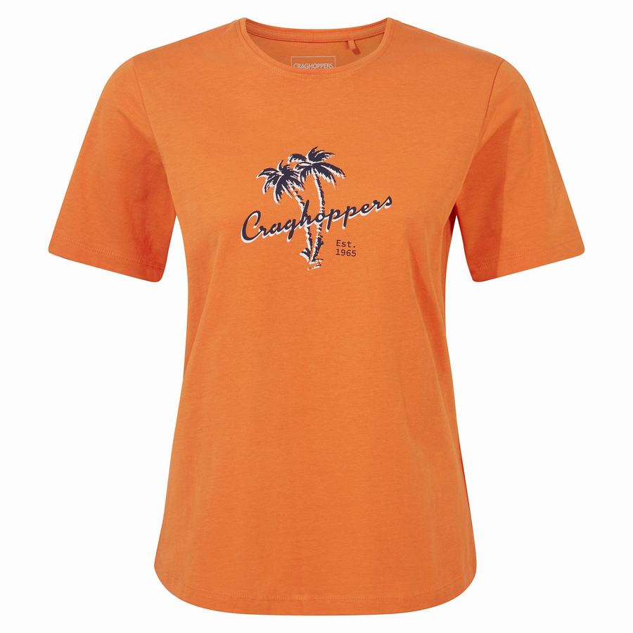 T Shirts Craghoppers Ally Corta Sleeved Femme Orange | BNF7921MD