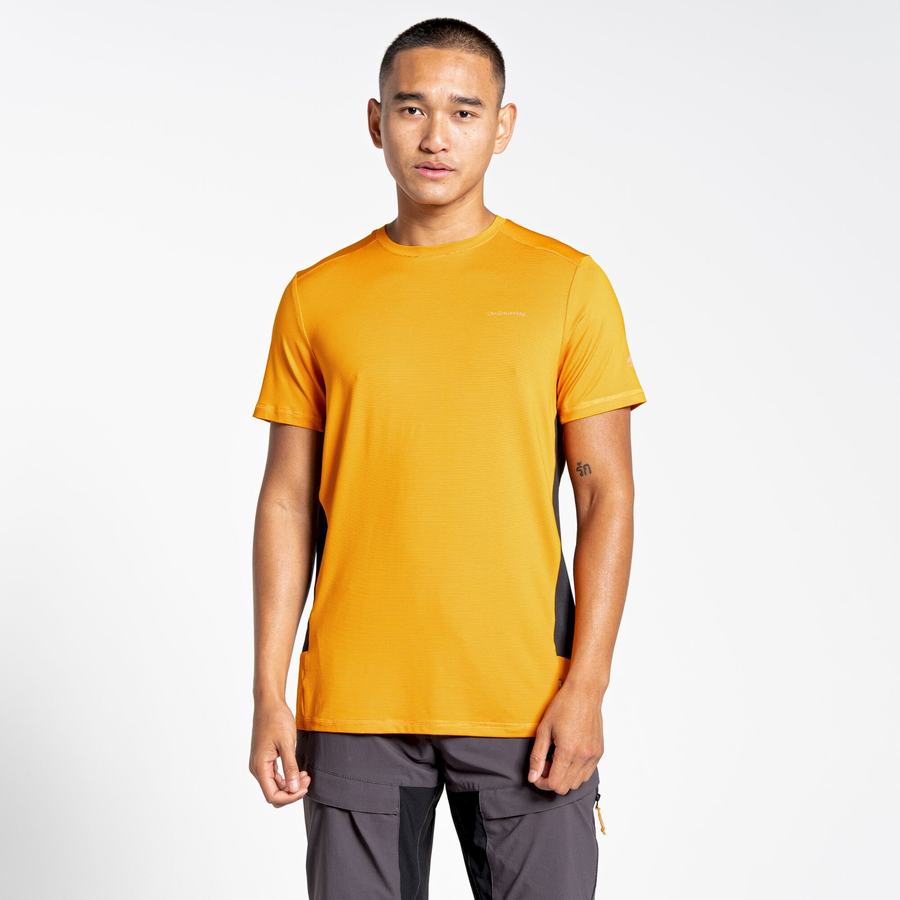 T Shirts Craghoppers Atmos Corta Sleeved Homme Orange | SKD1145UR