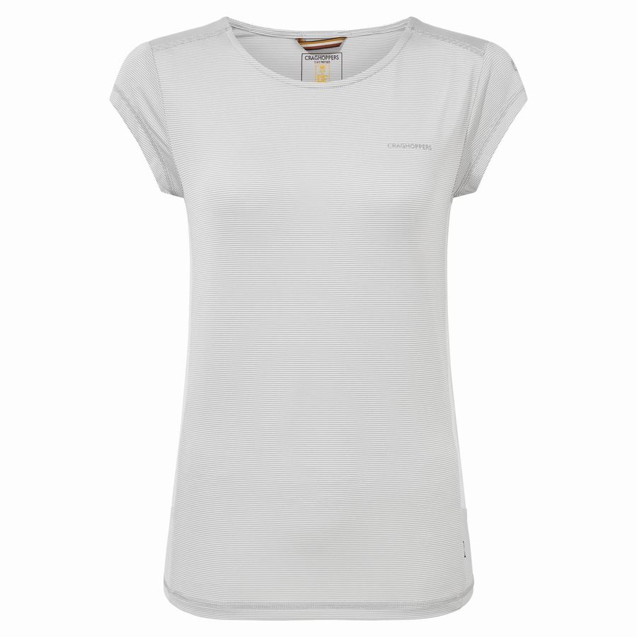 T Shirts Craghoppers Atmos Corta Sleeved Femme Grise | UWG7326VX