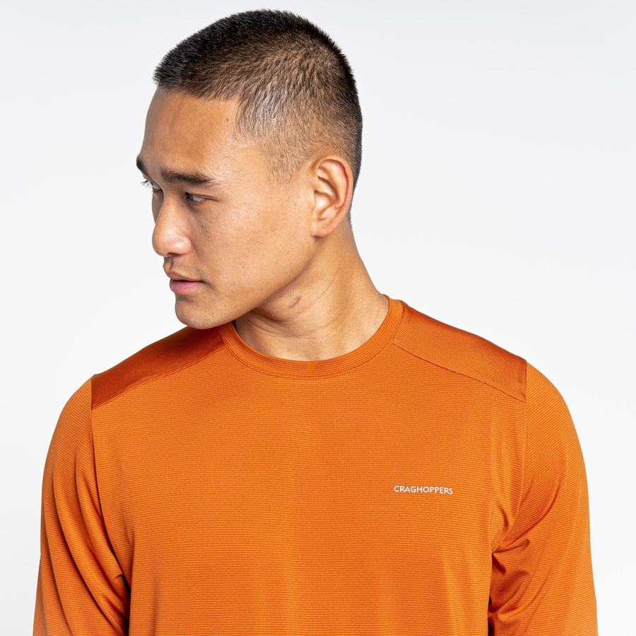 T Shirts Craghoppers Belardo Corta Sleeved Homme Orange | AHN2116RA