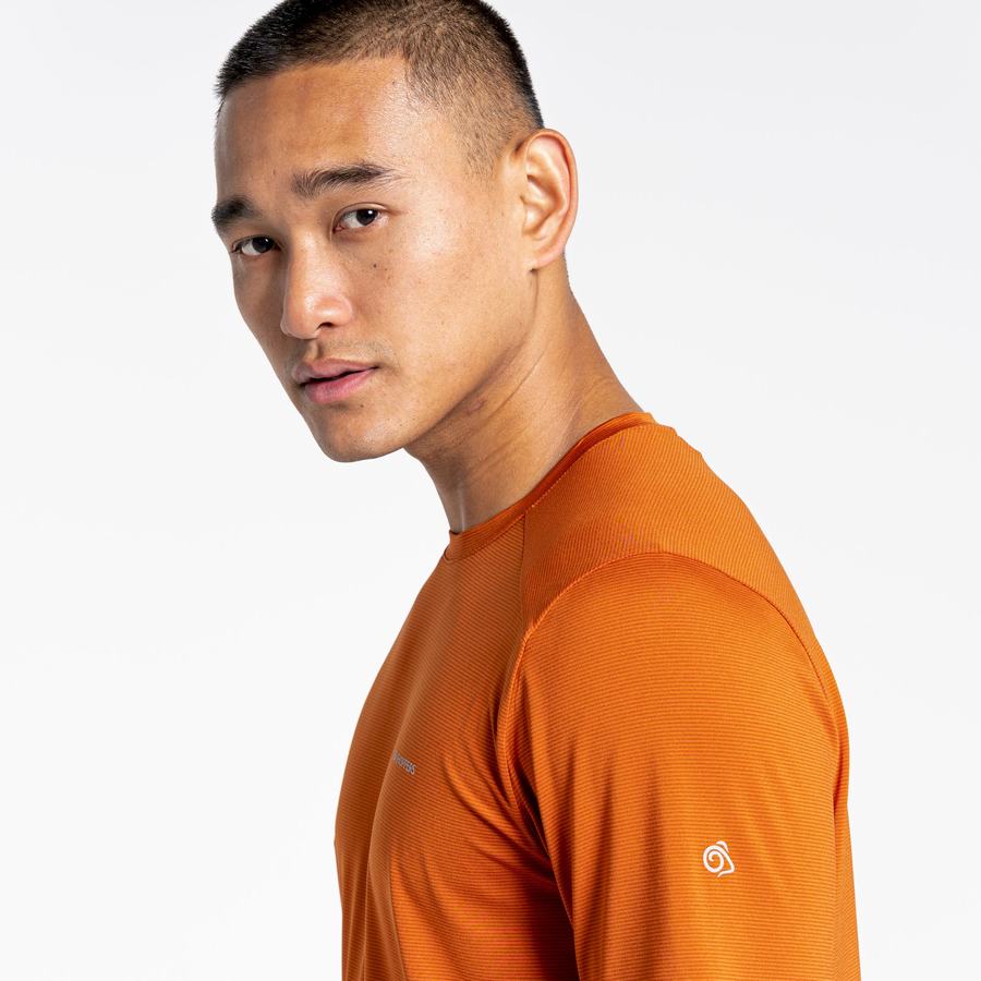 T Shirts Craghoppers Belardo Corta Sleeved Homme Orange | AHN2116RA