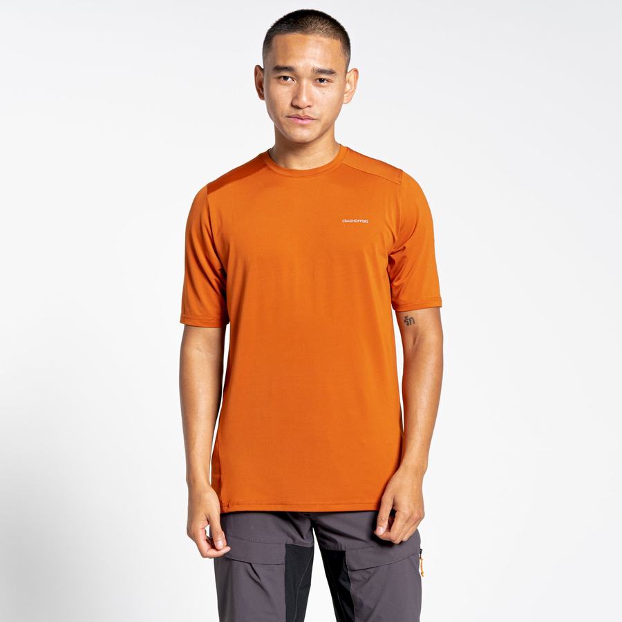 T Shirts Craghoppers Belardo Corta Sleeved Homme Orange | AHN2116RA