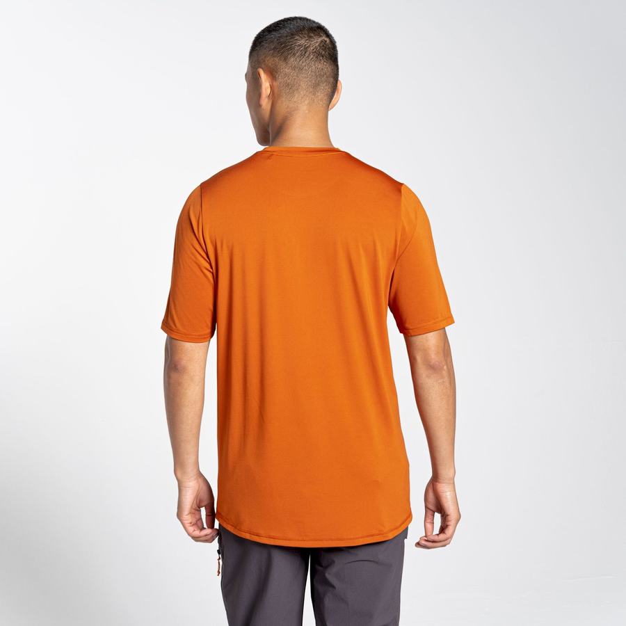 T Shirts Craghoppers Belardo Corta Sleeved Homme Orange | AHN2116RA