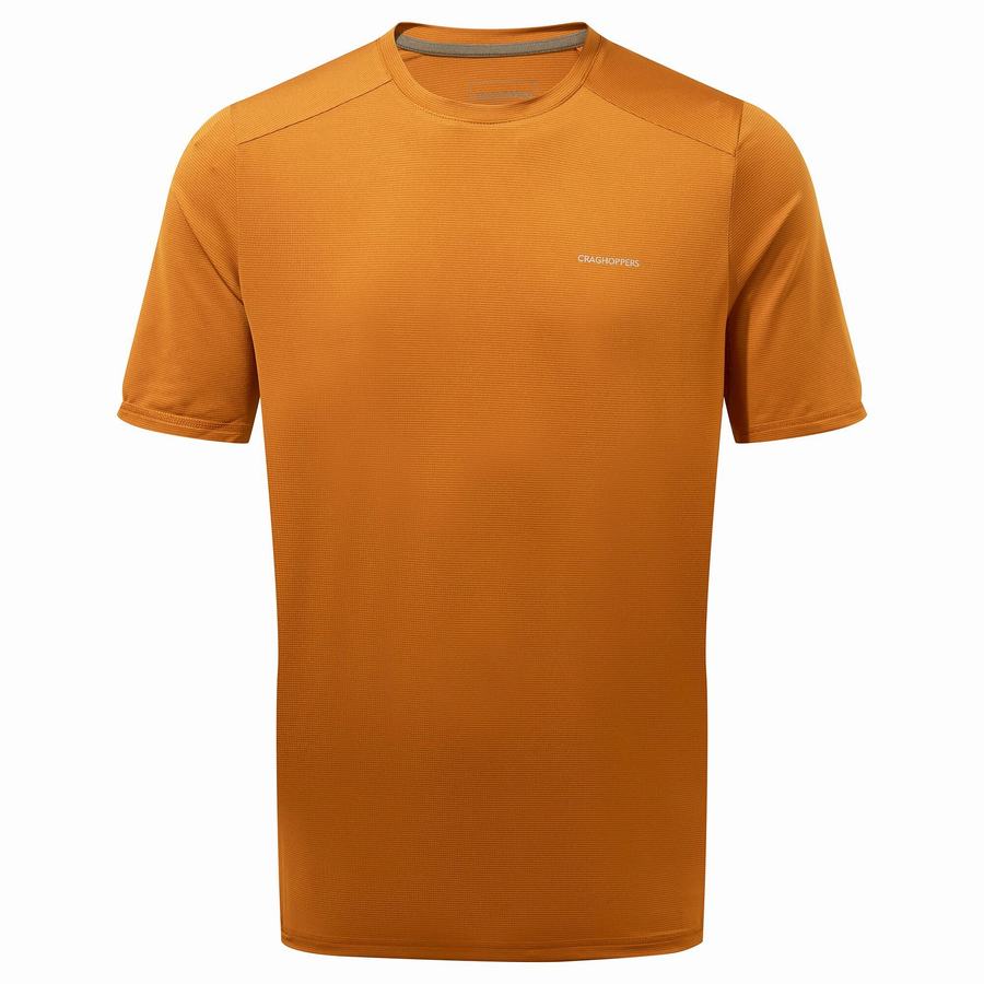 T Shirts Craghoppers Belardo Corta Sleeved Homme Orange | AHN2116RA