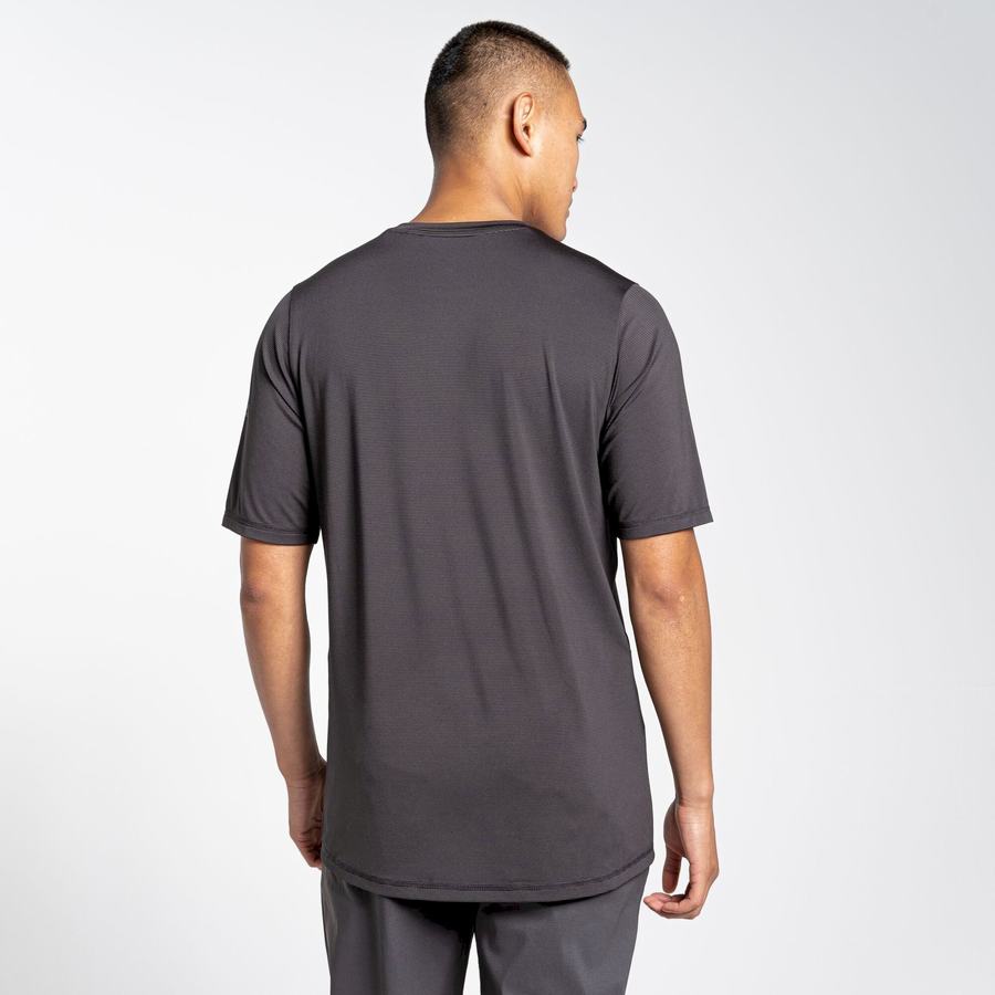 T Shirts Craghoppers Belardo Corta Sleeved Homme Noir | UQA9655OX