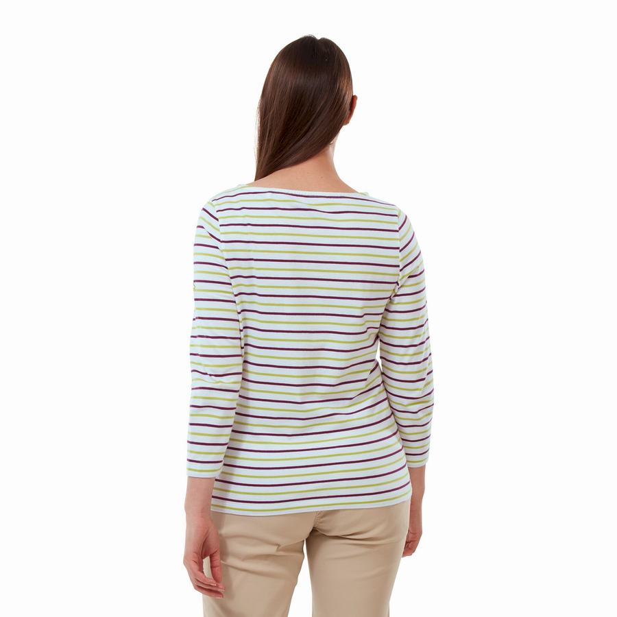 T Shirts Craghoppers Blanca 3/4 Sleeved Top Femme Vert Clair Stripes | RAD8159VR