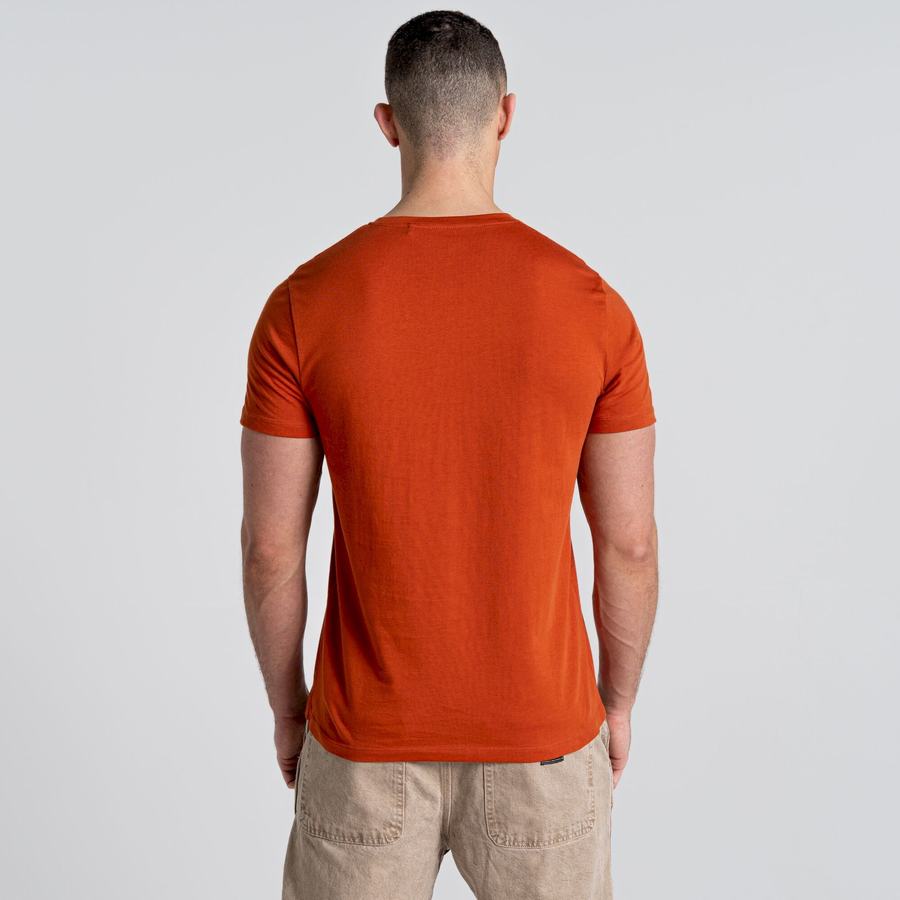 T Shirts Craghoppers Caldo Corta Sleeved Homme Orange | BVO819JF