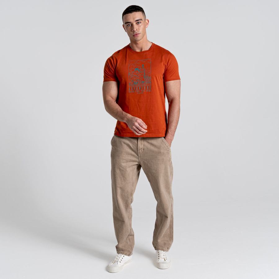 T Shirts Craghoppers Caldo Corta Sleeved Homme Orange | BVO819JF