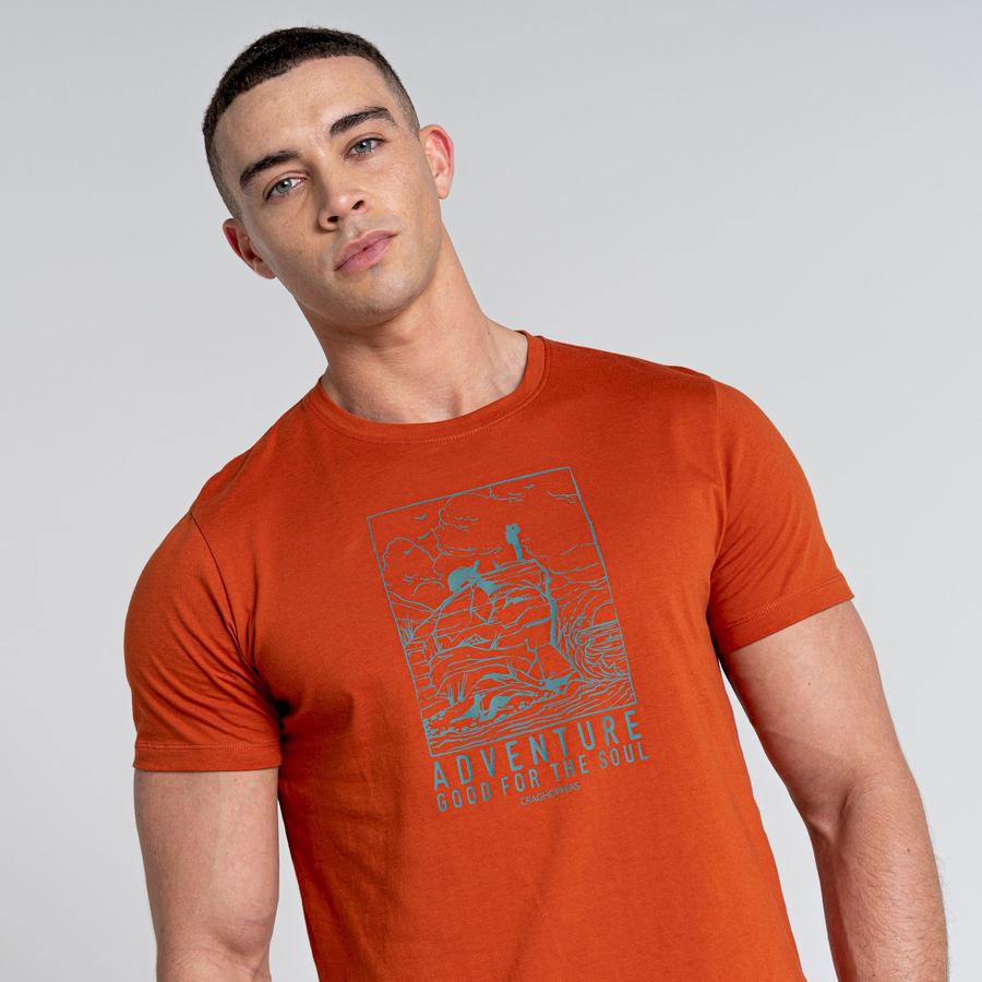 T Shirts Craghoppers Caldo Corta Sleeved Homme Orange | BVO819JF