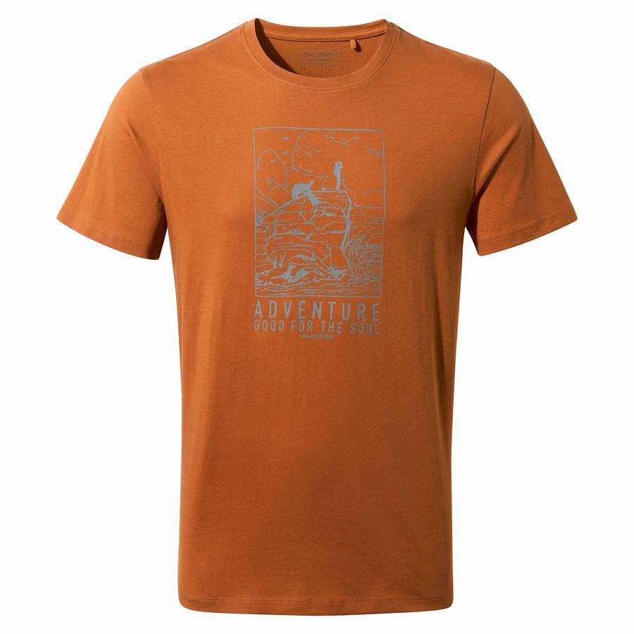 T Shirts Craghoppers Caldo Corta Sleeved Homme Orange | BVO819JF