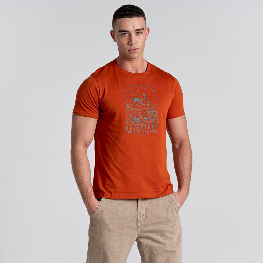 T Shirts Craghoppers Caldo Corta Sleeved Homme Orange | BVO819JF