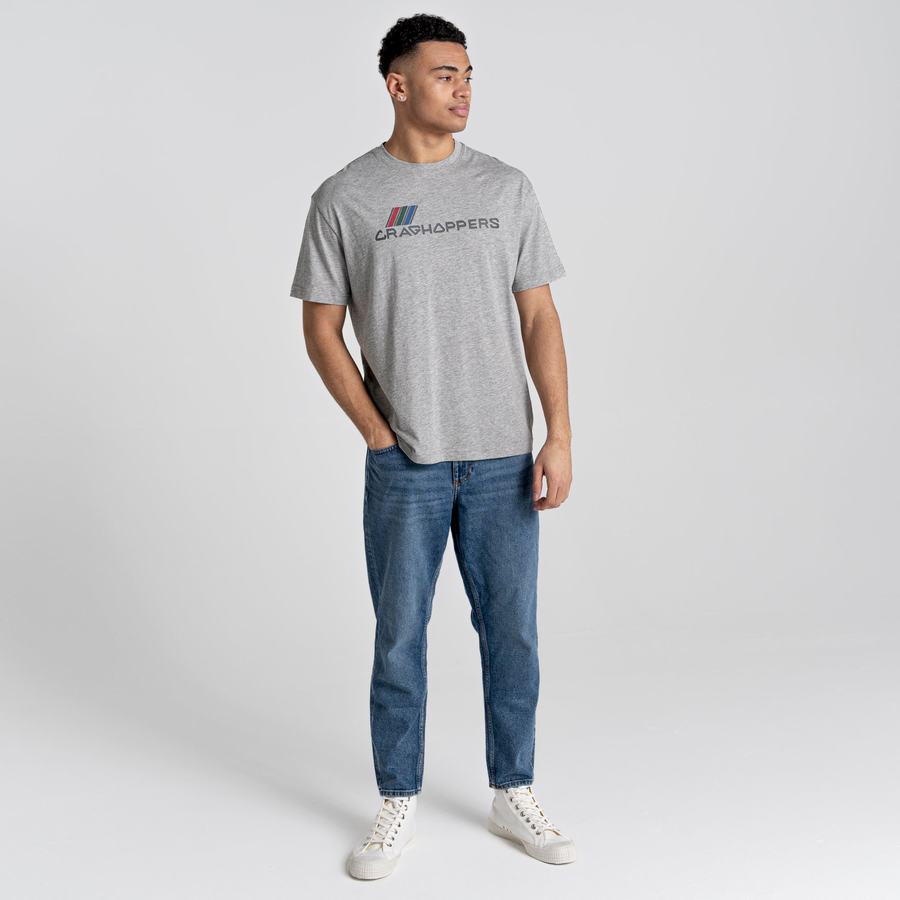 T Shirts Craghoppers Crosby Corta Sleeved Homme Grise | KZB7954ZU