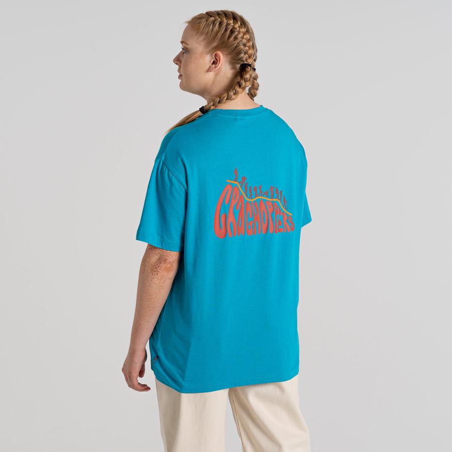 T Shirts Craghoppers Crosby Corta Sleeved Homme Bleu | REW6179GX