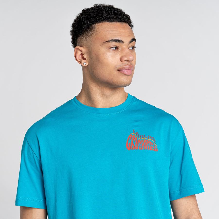 T Shirts Craghoppers Crosby Corta Sleeved Homme Bleu | REW6179GX