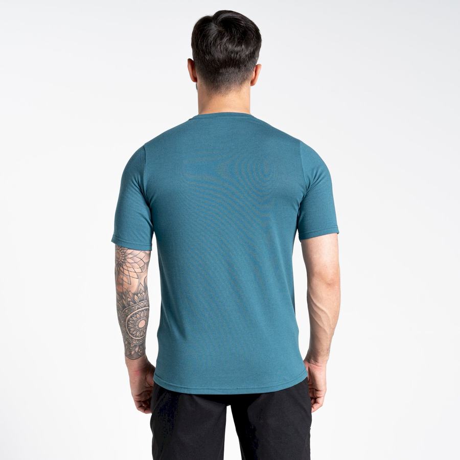 T Shirts Craghoppers Dynamic Corta Sleeved Homme Vert | ITG8589NU