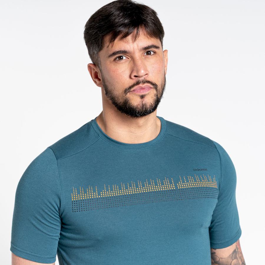 T Shirts Craghoppers Dynamic Corta Sleeved Homme Vert | ITG8589NU