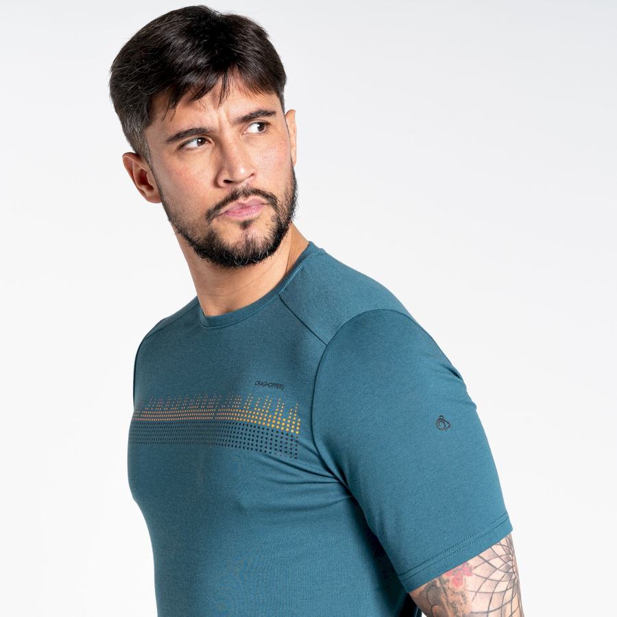 T Shirts Craghoppers Dynamic Corta Sleeved Homme Vert | ITG8589NU