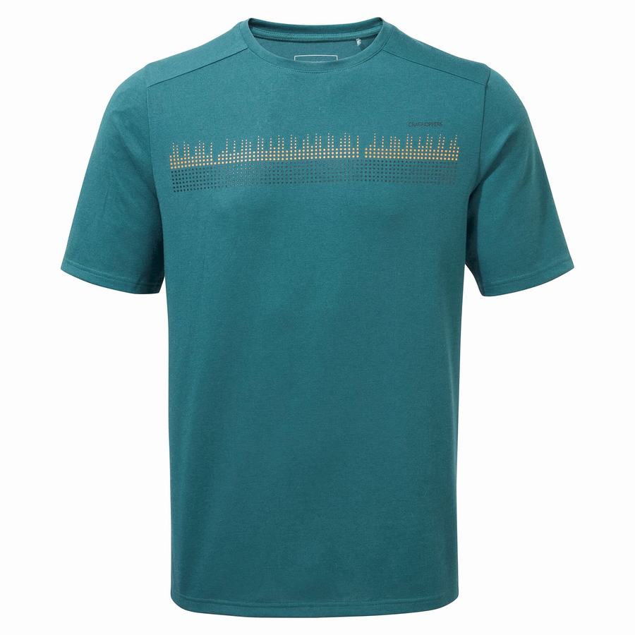 T Shirts Craghoppers Dynamic Corta Sleeved Homme Vert | ITG8589NU