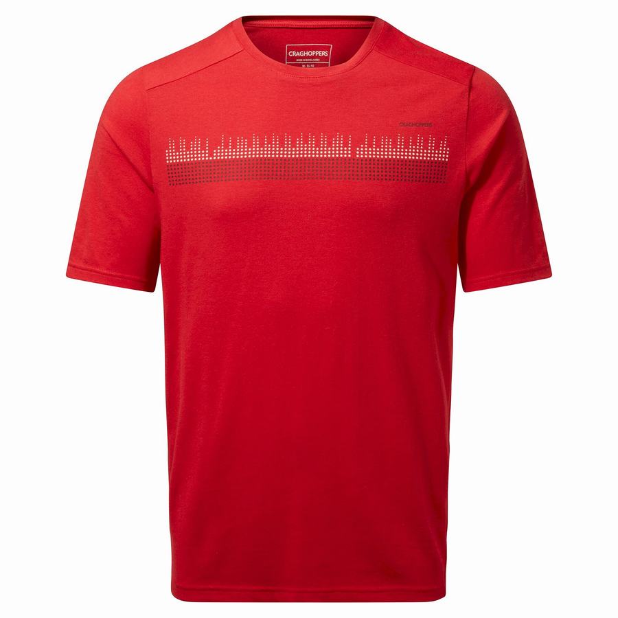 T Shirts Craghoppers Dynamic Corta Sleeved Sriracha Red Homme Rouge | MOQ9574JE