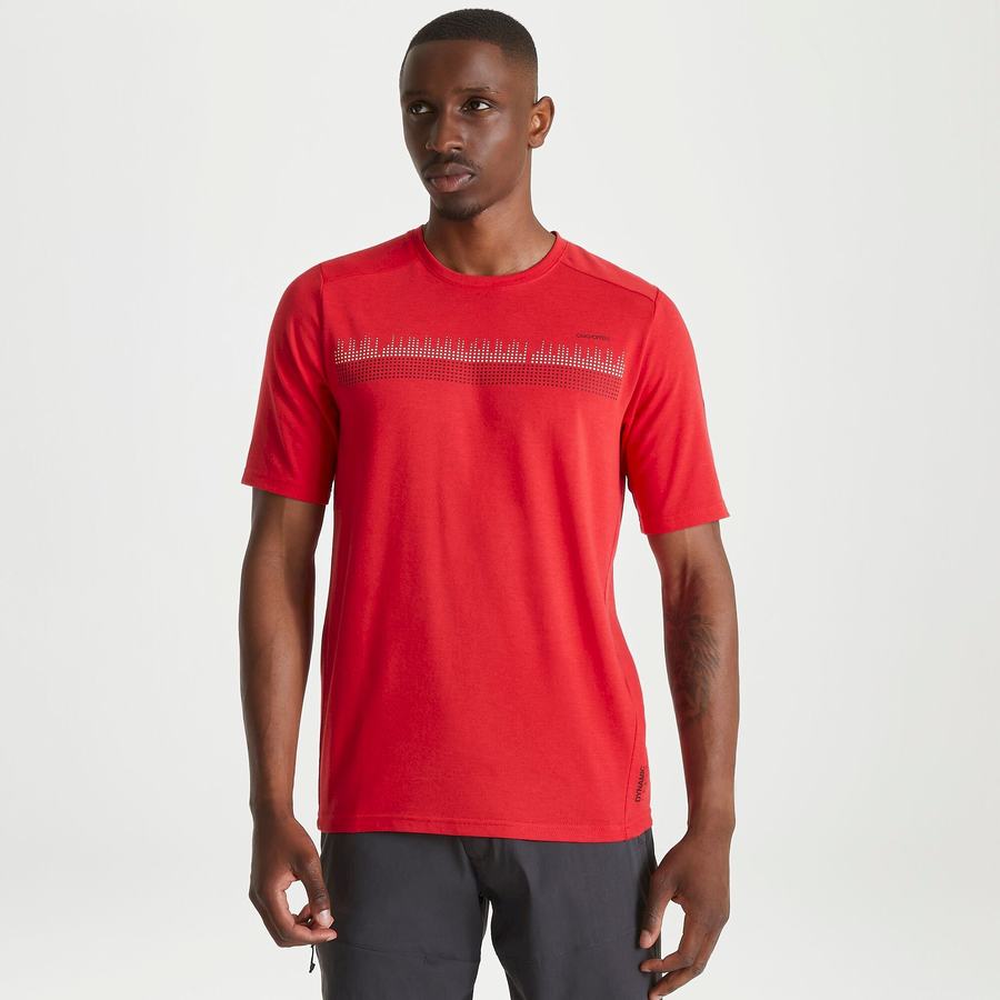 T Shirts Craghoppers Dynamic Corta Sleeved Sriracha Red Homme Rouge | MOQ9574JE