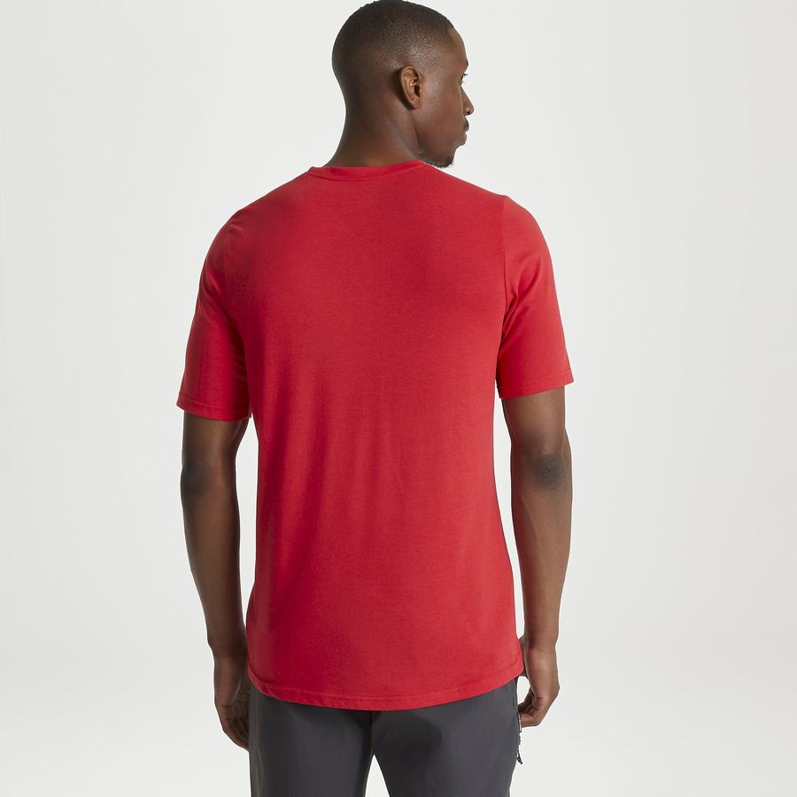 T Shirts Craghoppers Dynamic Corta Sleeved Sriracha Red Homme Rouge | MOQ9574JE