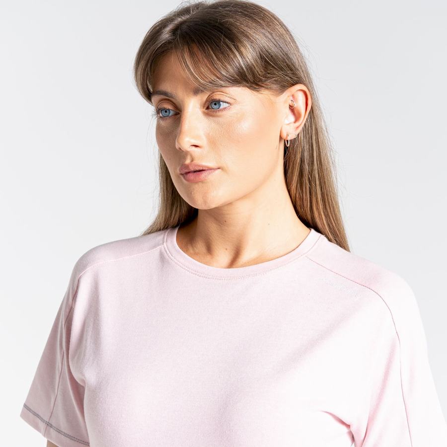 T Shirts Craghoppers Dynamic Corta Sleeved Femme Rose | SHM5473RW