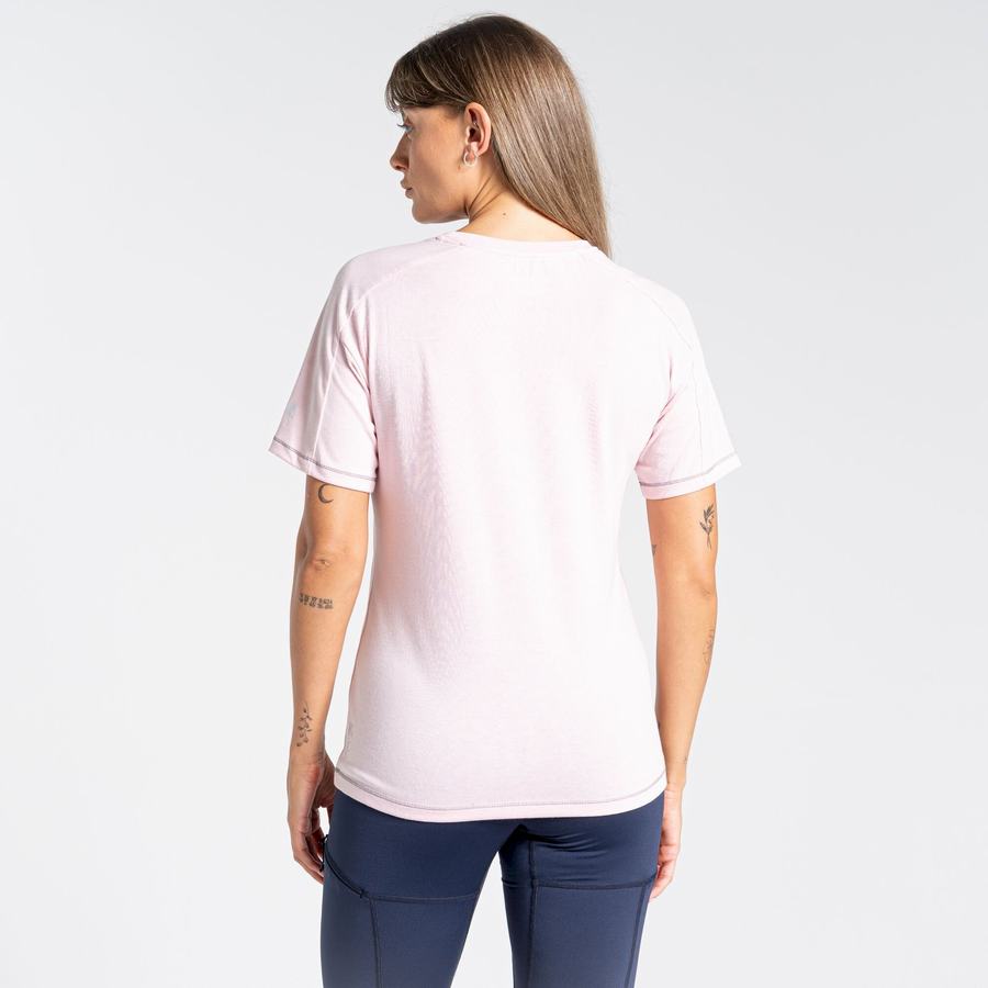 T Shirts Craghoppers Dynamic Corta Sleeved Femme Rose | SHM5473RW