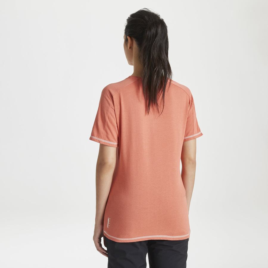 T Shirts Craghoppers Dynamic Corta Sleeved Warm Ginger Femme Orange | UPF7262NH