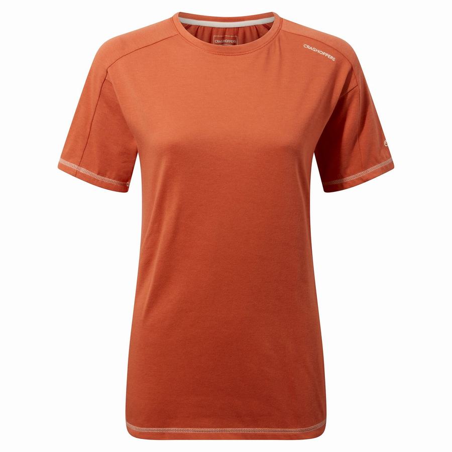 T Shirts Craghoppers Dynamic Corta Sleeved Warm Ginger Femme Orange | UPF7262NH