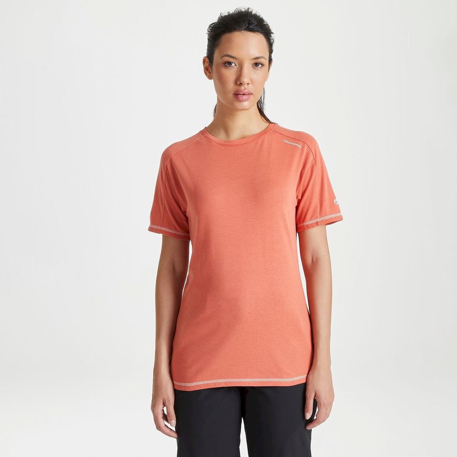 T Shirts Craghoppers Dynamic Corta Sleeved Warm Ginger Femme Orange | UPF7262NH