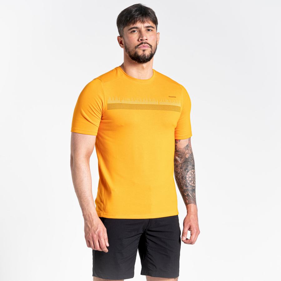 T Shirts Craghoppers Dynamic Corta Sleeved Homme Orange | VBX5241ME